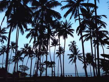 Low angle view of silhouette palm trees at beach