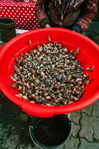 High angle view of food in container