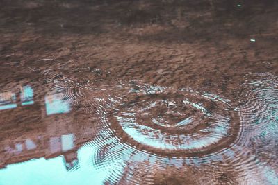 Close-up view of floral pattern