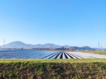 Scenic view of field against clear blue sky