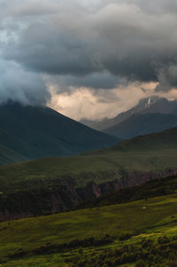 environment