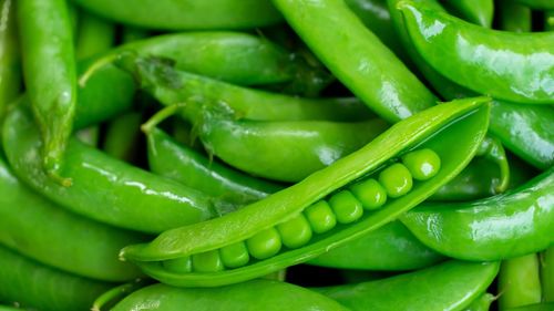 Full frame shot of green chili peppers