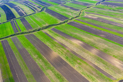 Scenic view of agricultural field