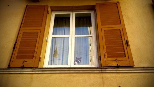 Close-up of closed door of house