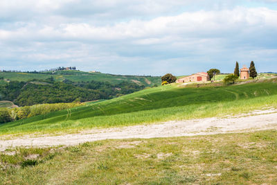 Scenic view of field against sky