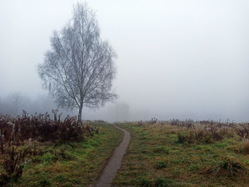 Road amidst trees on field against sky