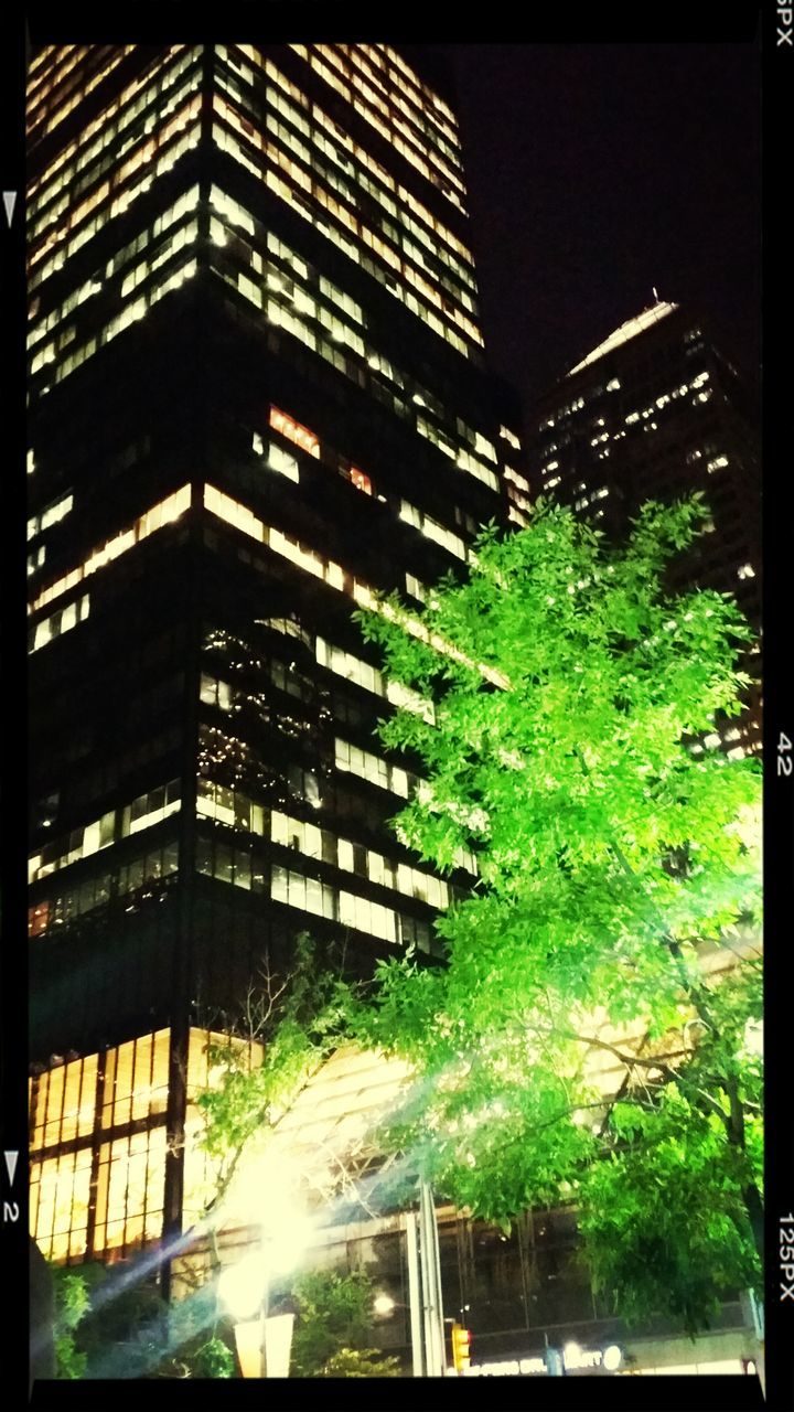 transfer print, building exterior, architecture, built structure, auto post production filter, tree, city, building, residential building, night, illuminated, low angle view, outdoors, no people, window, residential structure, modern, office building, growth, sunlight