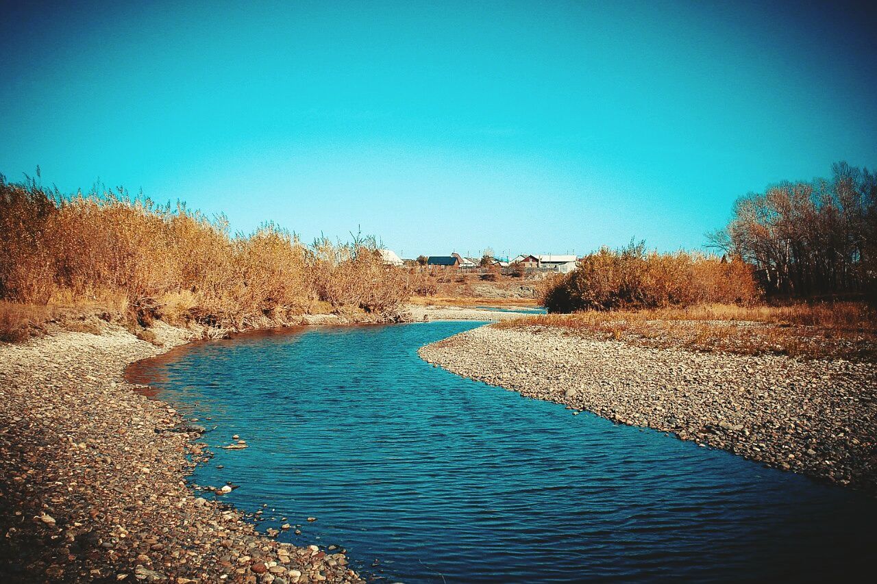 clear sky, blue, copy space, water, tranquil scene, tranquility, scenics, beauty in nature, nature, beach, tree, landscape, sand, day, idyllic, sunlight, shore, outdoors, no people, non-urban scene