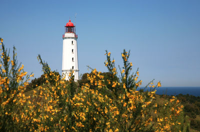 Lighthouse amidst trees and buildings against sky