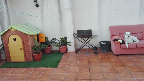 High angle view of tiled floor