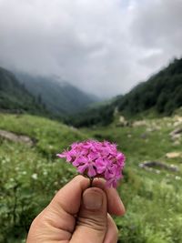Close-up of hand holding purple flowering plant against mountain