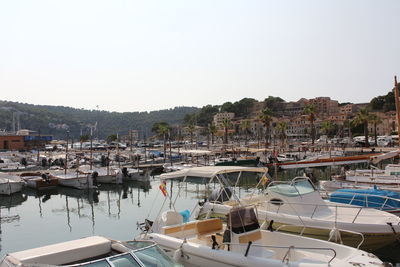 Sailboats moored in harbor