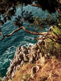 High angle view of rocks by sea