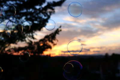 Close-up of silhouette against sky during sunset