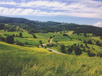 Scenic view of agricultural field against sky