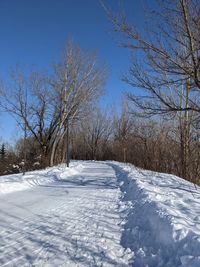 Bare trees on snow covered field against sky