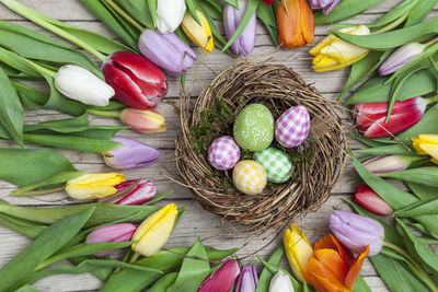 High angle view of multi colored tulips in basket