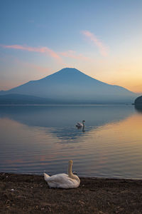 Scenic view of lake against sky during sunset