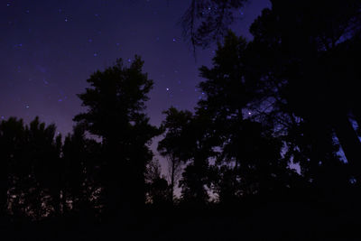 Low angle view of silhouette trees against sky at night