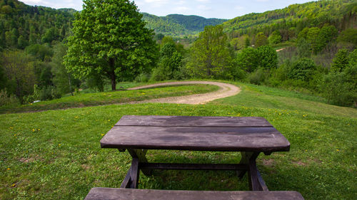 Empty bench in park