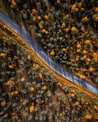 Aerial view of a road and fall colored trees in levi fell, kittilä, finland