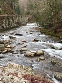 Scenic view of river flowing through rocks