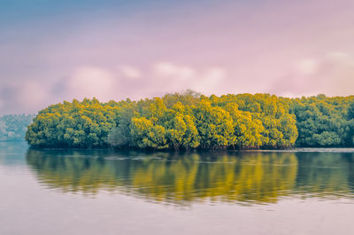 Scenic view of lake by trees against sky