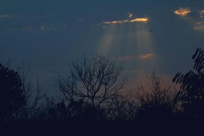 Silhouette trees against sky during sunset