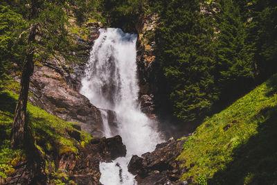Scenic view of waterfall in forest
