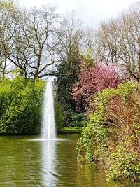 Scenic view of waterfall against trees