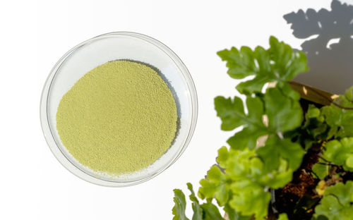 High angle view of vegetable on table against white background