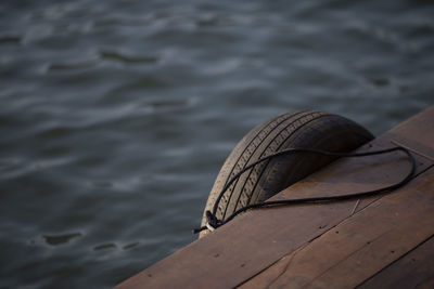 High angle view of wood by lake