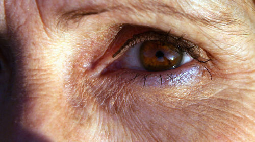 Close-up of woman eye