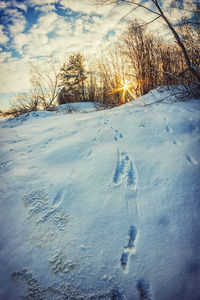 Scenic view of landscape against sky during winter