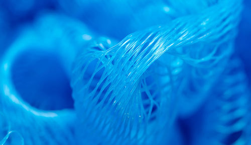 Close-up of jellyfish swimming in sea