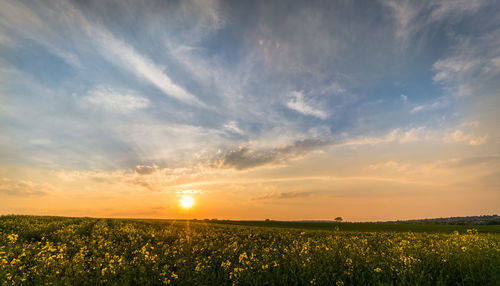 Scenic view of field against sky during sunset