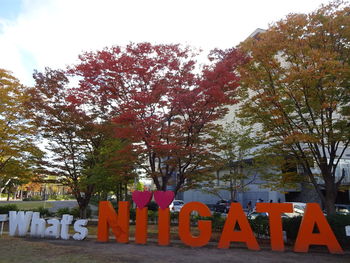 Text on autumn leaves against sky