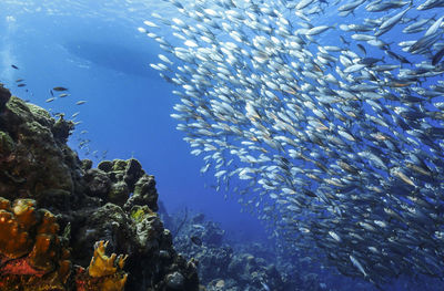 Full frame shot of sea