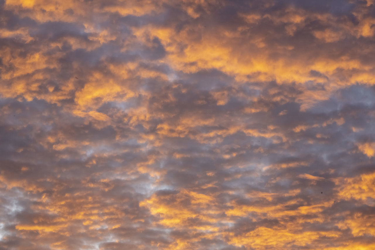 LOW ANGLE VIEW OF CLOUDY SKY DURING SUNSET