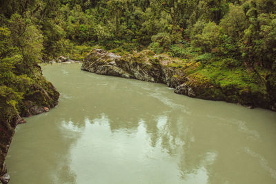 High angle view of river amidst trees in forest