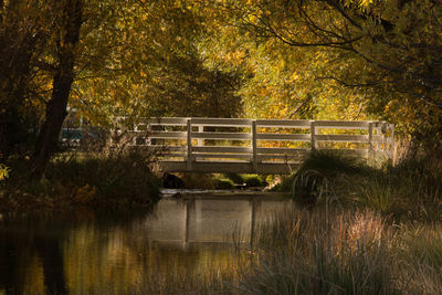 Park bench by lake in forest during autumn