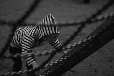 Side view of zebra on metal