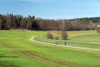 Scenic view of golf course against sky