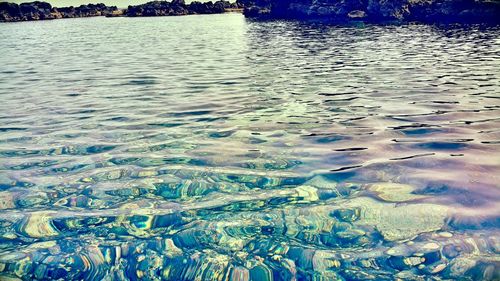 Reflection of trees in water