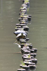 Close-up of metallic structure in lake