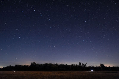 Low angle view of trees against sky at night
