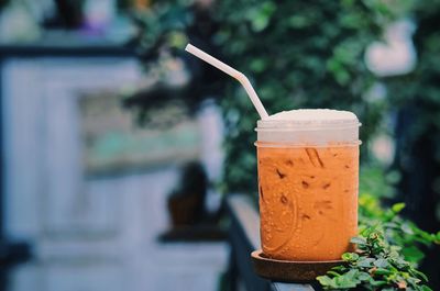 Close-up of drink on table against plants