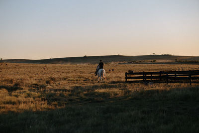 Man standing on field against sky during sunset