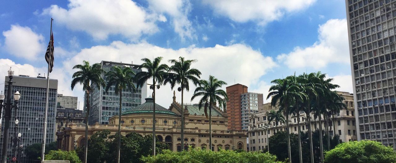 architecture, built structure, building exterior, sky, tree, low angle view, city, palm tree, cloud - sky, tall - high, modern, cloud, skyscraper, tower, travel destinations, growth, building, office building, cloudy, day