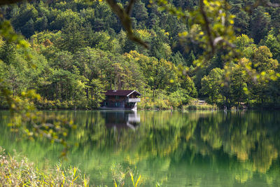Boat in lake against trees in forest